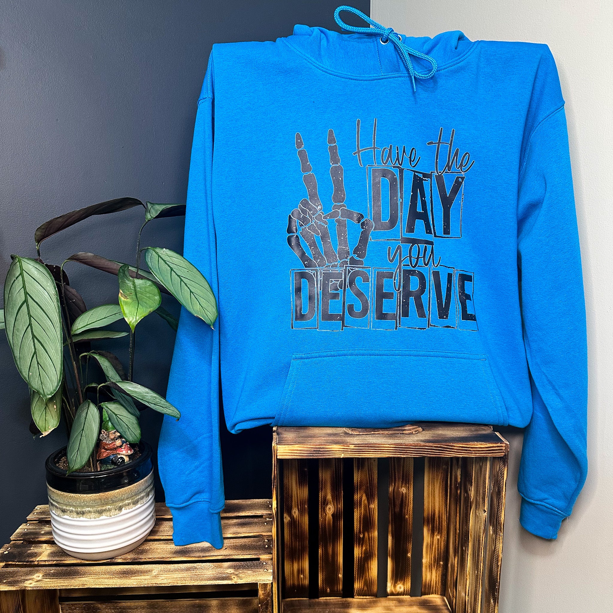 Have The Day You Deserve Hoodie
