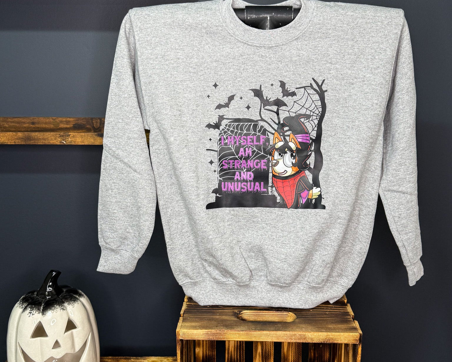 Strange & Unusual Youth Sweatshirt